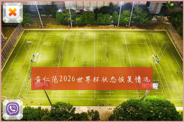 黄仁范2026世界杯状态恢复情况