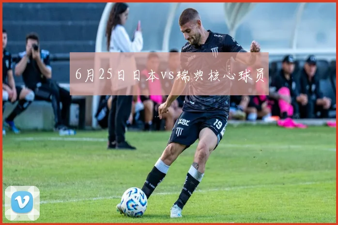 6月25日日本vs瑞典核心球员