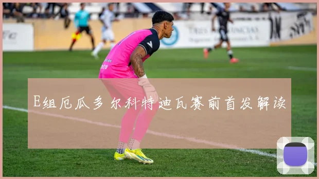 E组厄瓜多尔科特迪瓦赛前首发解读