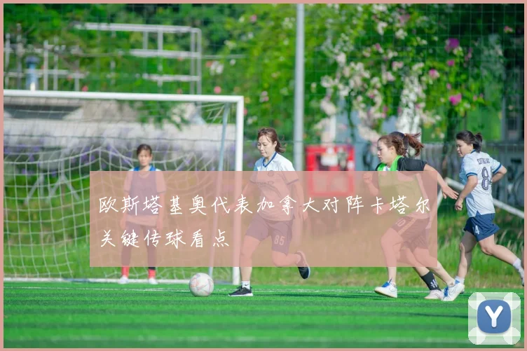 欧斯塔基奥代表加拿大对阵卡塔尔关键传球看点